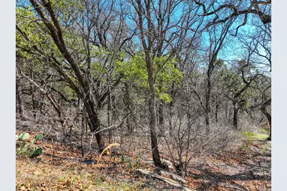 1115 Brazos Drive, Granbury, TX 76048 - Photo 8