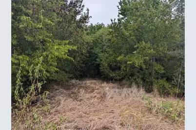 8919 Cartwright Drive, Cresson, TX 76035 - Photo 4
