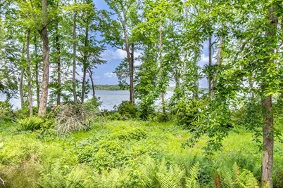 3126 Shadow Pine Drive, LaRue, TX 75770 - Photo 10