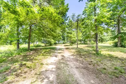 3126 Shadow Pine Drive, LaRue, TX 75770 - Photo 8