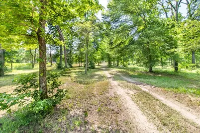 3126 Shadow Pine Drive, LaRue, TX 75770 - Photo 12