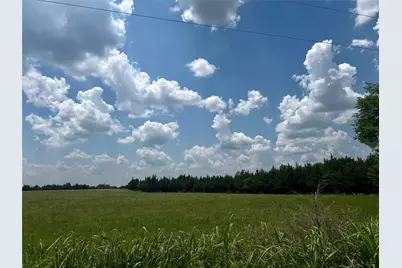 3442 County Road 15100, Blossom, TX 75416 - Photo 6