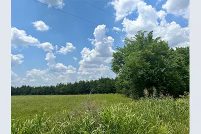 3442 County Road 15100, Blossom, TX 75416 - Photo 2