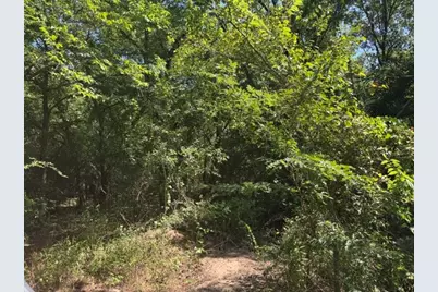 Tbd County Rd. 1300, Emory, TX 75440 - Photo 14