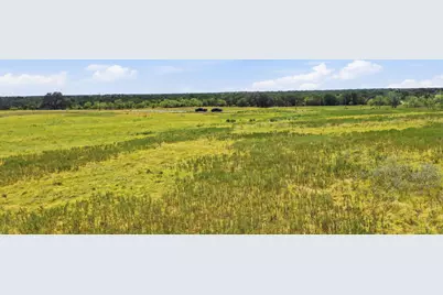 Tbd River Canyon Road, Palo Pinto, TX 76484 - Photo 26