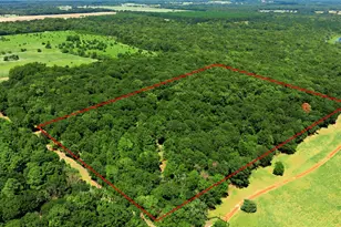 Tbd Cr 3613, Murchison, TX 75758 - Photo 1