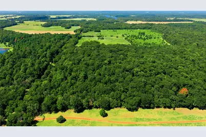 Tbd Cr 3613, Murchison, TX 75758 - Photo 4