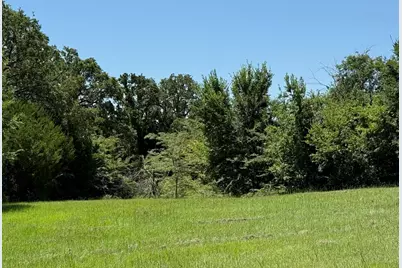 52 Coyote Creek Drive, Gordonville, TX 76245 - Photo 6