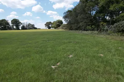 Tbd Cr 435, Frankston, TX 75763 - Photo 10
