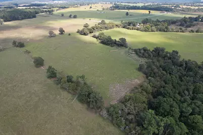 Tbd Cr 435, Frankston, TX 75763 - Photo 2