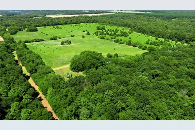 8418 County Road 3613, Murchison, TX 75778 - Photo 24