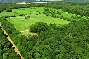 8418 Co Rd 3613, Murchison, TX 75778 - Photo 24