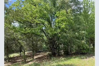 2433 Wellington Trace, Tyler, TX 75709 - Photo 6