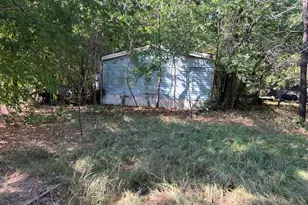 10163 Gaillard Lake, Wills Point, TX 75169 - Photo 4