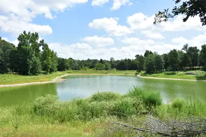 961 County Road 484, Palestine, TX 75803 - Photo 2