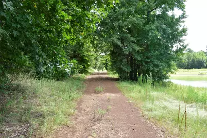 961 County Road 484, Palestine, TX 75803 - Photo 6