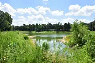 961 County Road 484, Palestine, TX 75803 - Photo 4