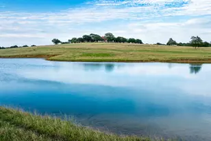 701 W Walcott St, Pilot Point, TX 76258 - Photo 6