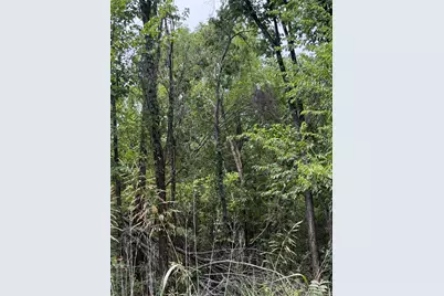 Tbd 1 County Road 3040, Bonham, TX 75418 - Photo 4