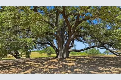 1014 Adell Road, Weatherford, TX 76088 - Photo 38