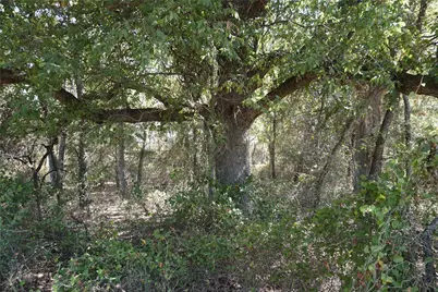 Tract 2 NE County Road 1030, Rice, TX 75155 - Photo 8
