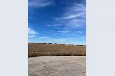 276 Chambers Creek Trail, Alvarado, TX 76009 - Photo 8