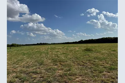 Tract 8, 13.103 Acres County Rd 3700, Leonard, TX 75452 - Photo 18