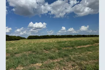 Tract 8, 13.103 Acres County Rd 3700, Leonard, TX 75452 - Photo 16