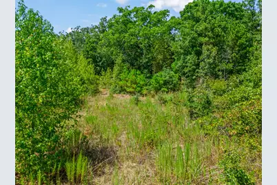 Tbd Cr 3854 4.542 Acres, Hawkins, TX 75765 - Photo 8
