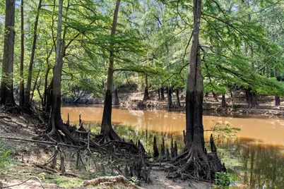 1602 Tx Hwy 49, Jefferson, TX 75657 - Photo 2