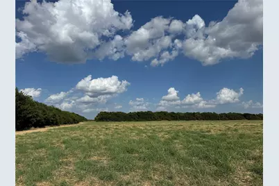 Tract 10, 23.568 Acres County Rd 3700, Leonard, TX 75452 - Photo 14