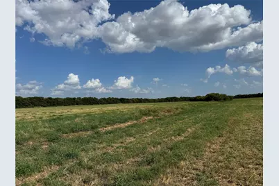 Tract 10, 23.568 Acres County Rd 3700, Leonard, TX 75452 - Photo 2