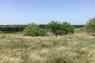 424 Pedernalis, Aledo, TX 76008 - Photo 1