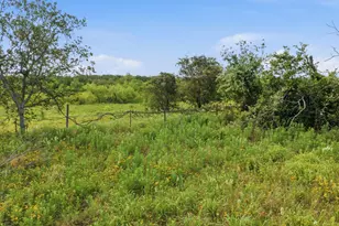 5019 Fm 2123, Paradise, TX 76073 - Photo 8