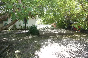 306 S Austin St, Wolfe City, TX 75496 - Photo 26