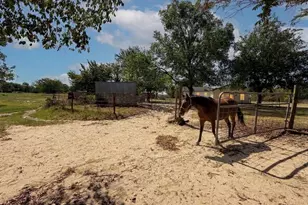 32951 FM 47, Mabank, TX 75147 - Photo 8