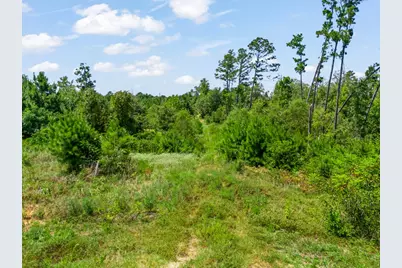 Tbd US Hwy 259 N, Ore City, TX 75683 - Photo 16
