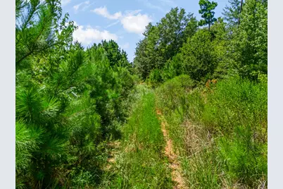 Tbd US Hwy 259 N, Ore City, TX 75683 - Photo 18