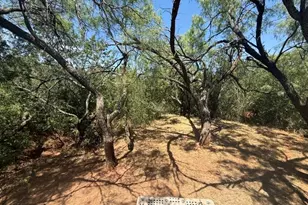 126 Lonesome Dove, Buffalo Gap, TX 79508 - Photo 2