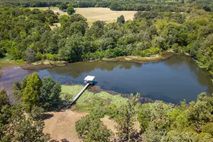 8266 FM 17, Grand Saline, TX 75140 - Photo 2