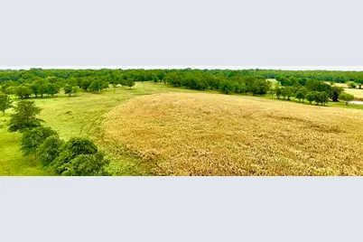 1179 County Road 1990, Chico, TX 76431 - Photo 12