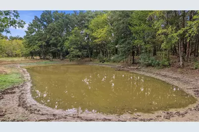 2449 County Road 1215, Savoy, TX 75479 - Photo 6