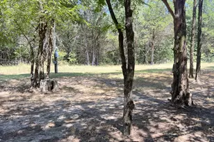 2496 Co Rd 2010, Ravenna, TX 75476 - Photo 22