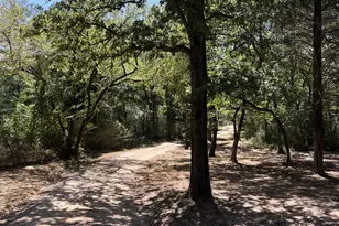 2496 Co Rd 2010, Ravenna, TX 75476 - Photo 24