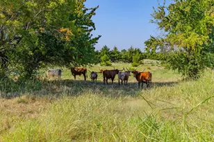 1704 Co Rd 1002, Greenville, TX 75401 - Photo 8