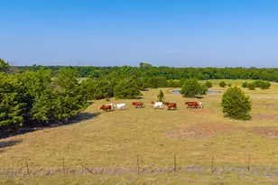 1704 Co Rd 1002, Greenville, TX 75401 - Photo 36