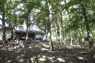 203 Covey Ln, McKinney, TX 75071 - Photo 10
