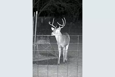 575 County Road 442, Rochelle, TX 76872 - Photo 10