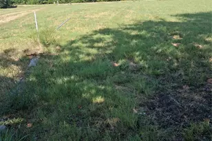 2020 Farm Road 909, Clarksville, TX 75426 - Photo 2