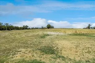 10020 Vly Oak Ct, Springtown, TX 76082 - Photo 24